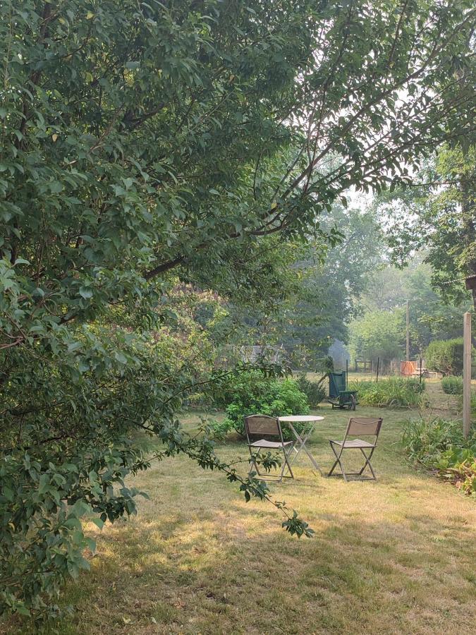 Chalet Dans La Foret....Adorable 1 Bedroom Chalet Surrounded By Woodland Pressignac Esterno foto
